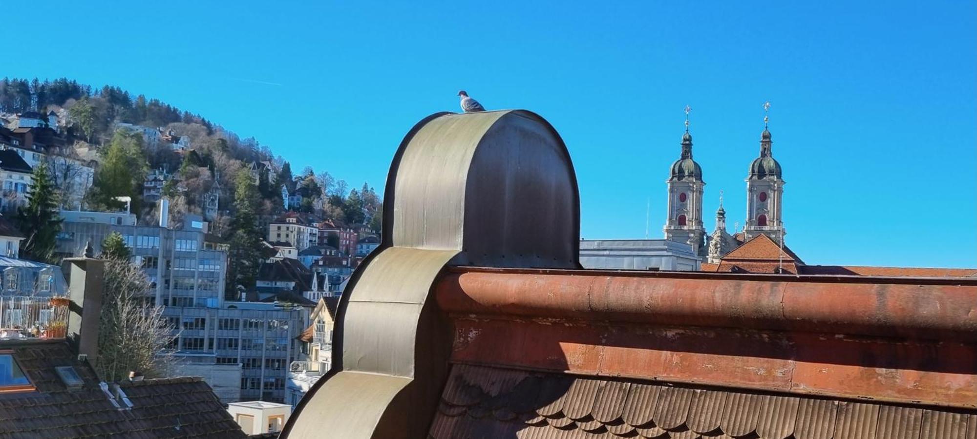 Ruhige, Neue Dachwohnung An Altstadt, Naehe Messe 圣加仑 外观 照片